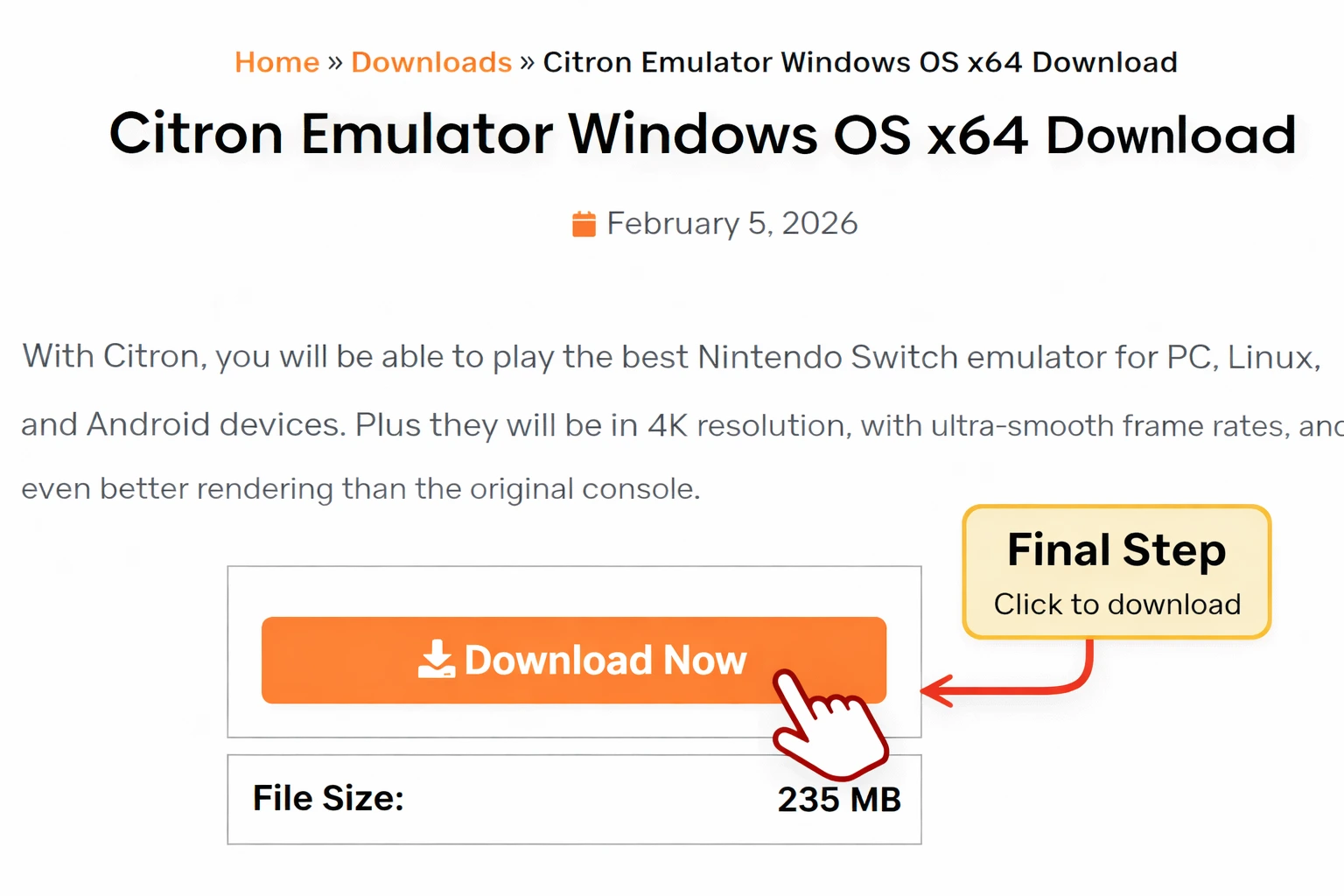 Citron Emulator final download page with download now button and file size